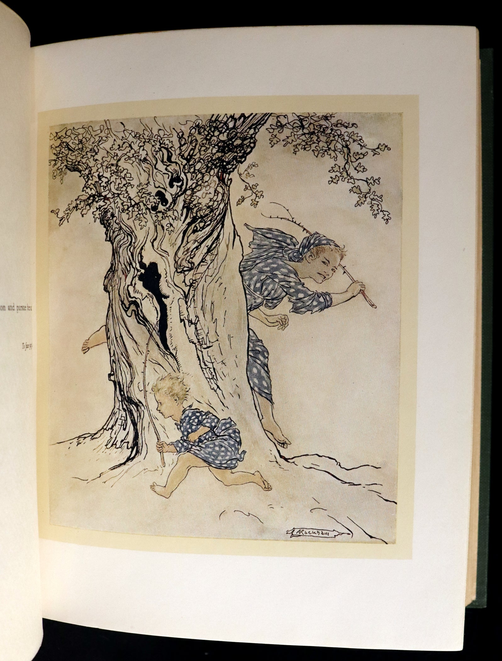 1920 First Edition - Irish fairy Tales by James Stephens illustrated b ...