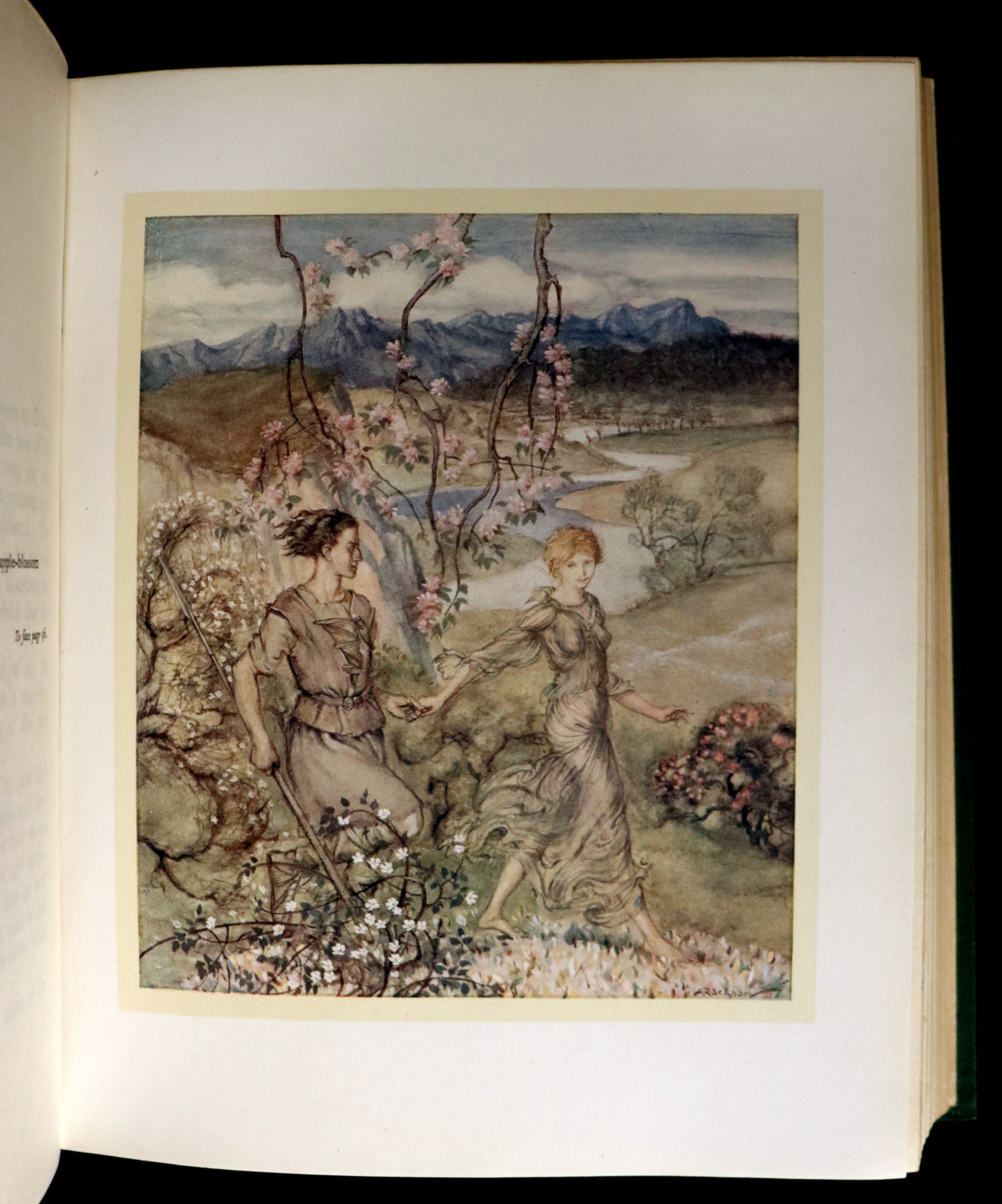 1920 First Edition - Irish fairy Tales by James Stephens illustrated by ...