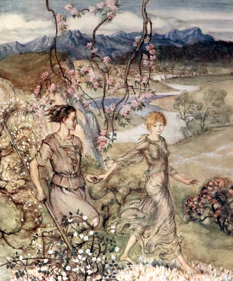 1920 First Edition - Irish fairy Tales by James Stephens illustrated by Arthur Rackham.