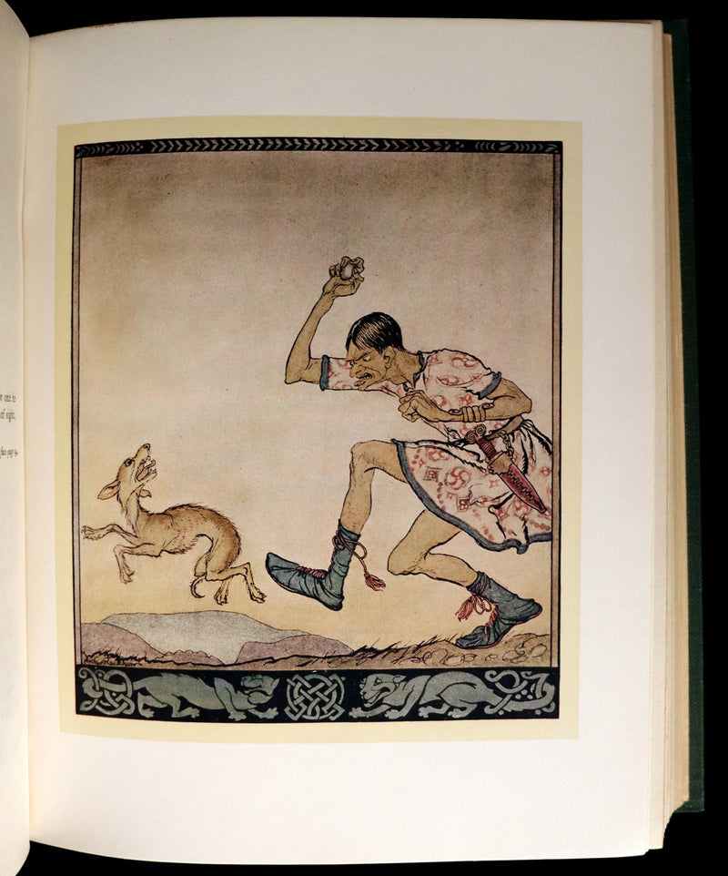 1920 First Edition - Irish fairy Tales by James Stephens illustrated by Arthur Rackham.