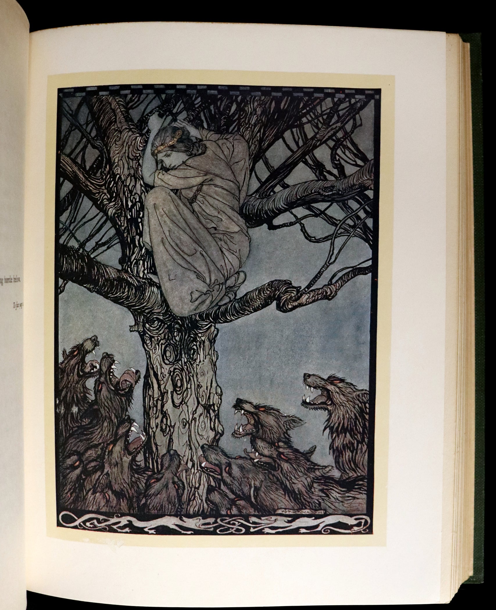 1920 First Edition - Irish fairy Tales by James Stephens illustrated by ...