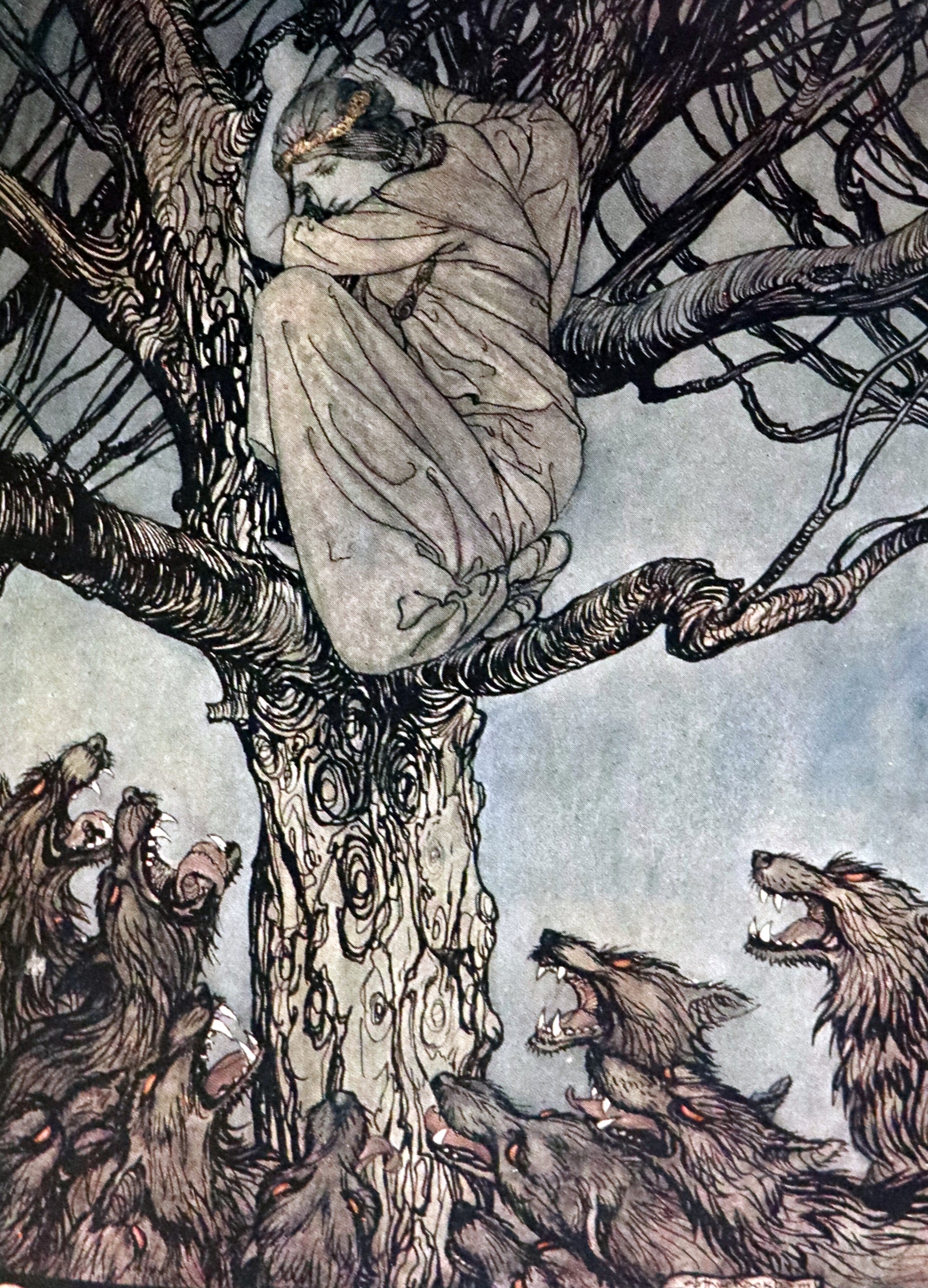 1920 First Edition - Irish fairy Tales by James Stephens illustrated by ...