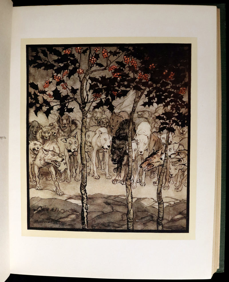 1920 First Edition - Irish fairy Tales by James Stephens illustrated by Arthur Rackham.