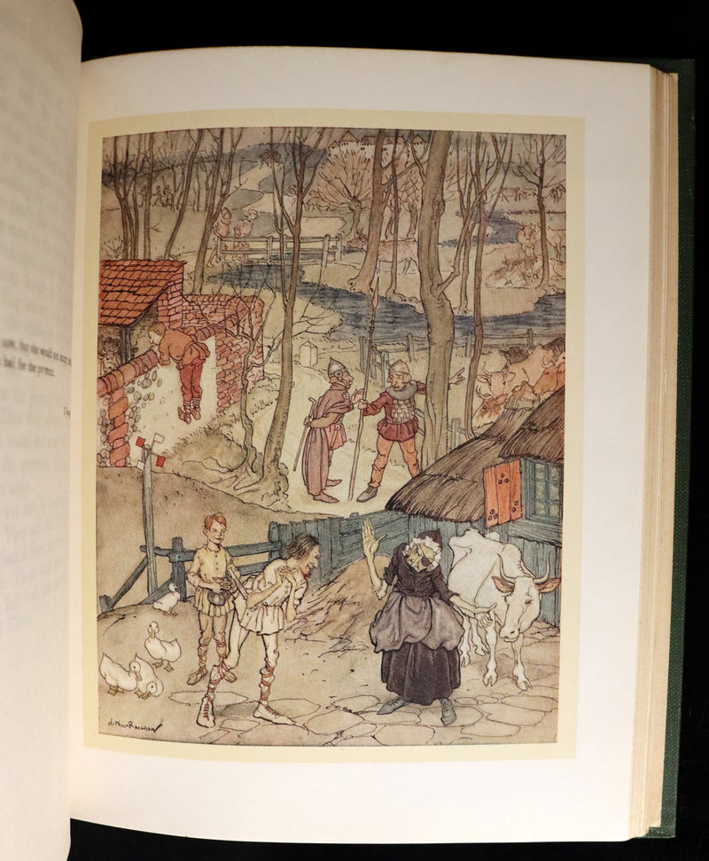 1920 First Edition - Irish fairy Tales by James Stephens illustrated by Arthur Rackham.