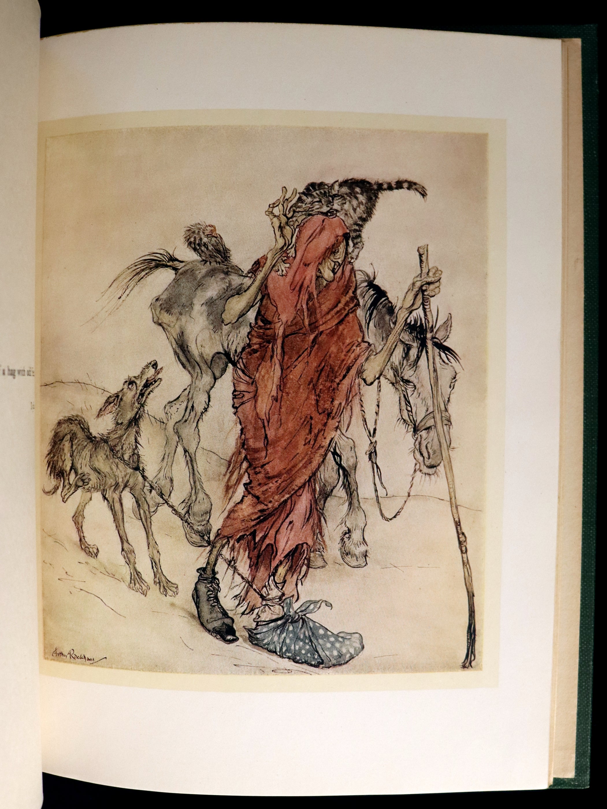 1920 First Edition - Irish fairy Tales by James Stephens illustrated by ...