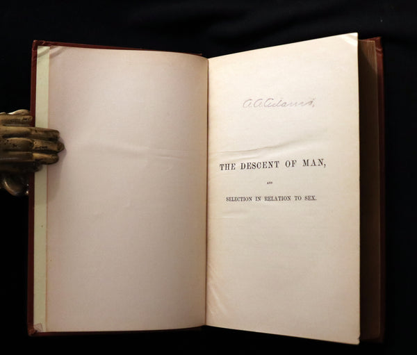 1892 Rare Book - CHARLES DARWIN - The DESCENT OF MAN and Selection in Relation to Sex.