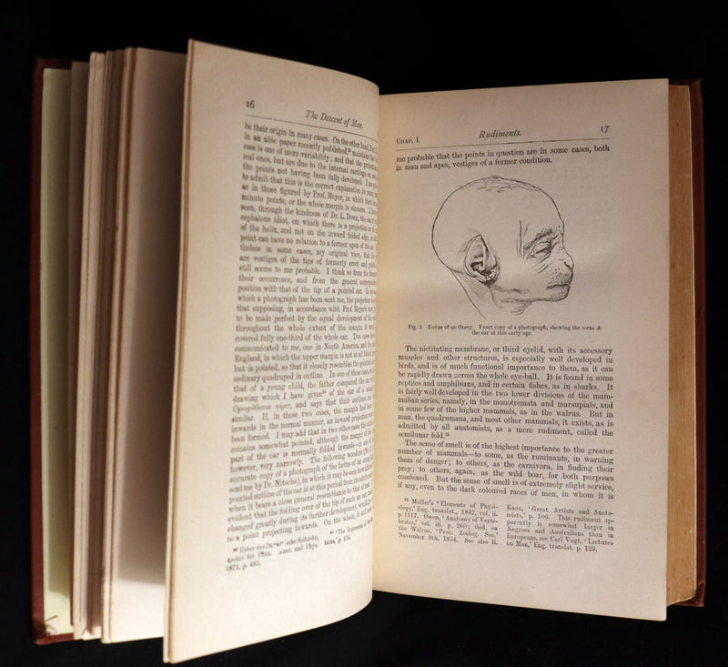 1892 Rare Book - CHARLES DARWIN - The DESCENT OF MAN and Selection in Relation to Sex.