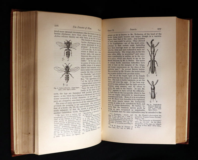 1892 Rare Book - CHARLES DARWIN - The DESCENT OF MAN and Selection in Relation to Sex.