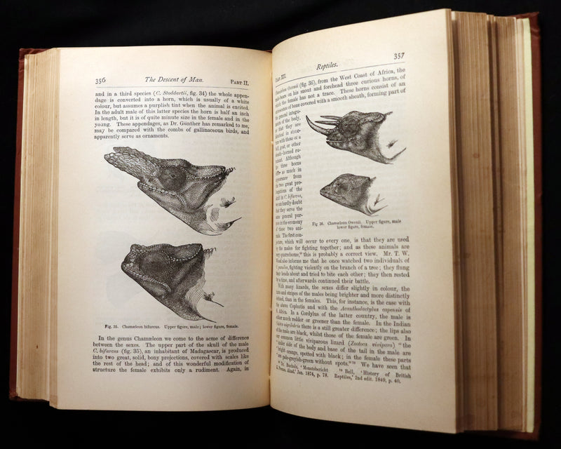 1892 Rare Book - CHARLES DARWIN - The DESCENT OF MAN and Selection in Relation to Sex.