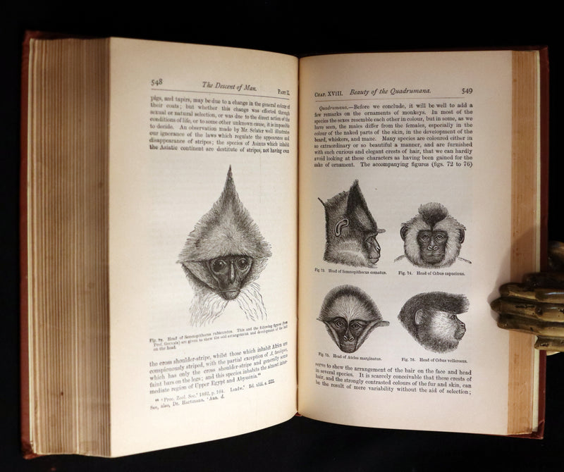 1892 Rare Book - CHARLES DARWIN - The DESCENT OF MAN and Selection in Relation to Sex.