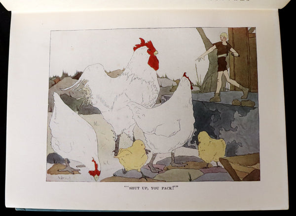 1921 Rare First illustrated Edition by Mary Hamilton Frye - THE WONDERFUL ADVENTURES OF NILS by Selma Lagerlof.