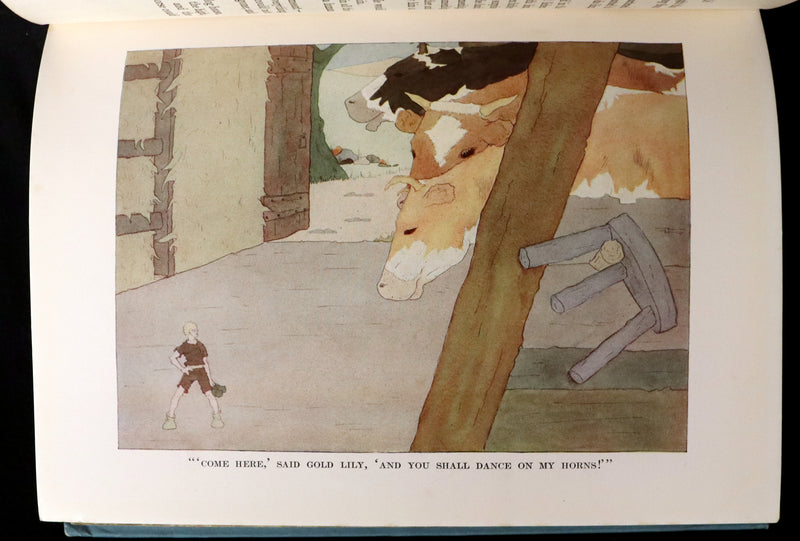 1921 Rare First illustrated Edition by Mary Hamilton Frye - THE WONDERFUL ADVENTURES OF NILS by Selma Lagerlof.