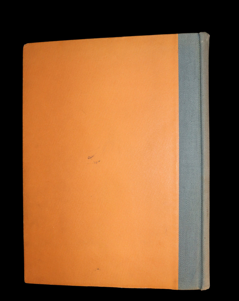 1914 Rare First Edition - A YEAR WITH THE FAIRIES by Anna M. Scott illustrated by Marion T. Ross.