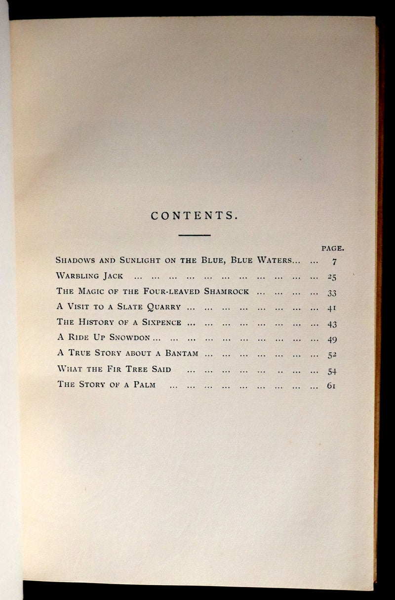 1890 Unique Known Copy - Mary Anne Wilmot Hastings (née Westenra), Countess of Huntingdon Tales - A Few Short Stories.