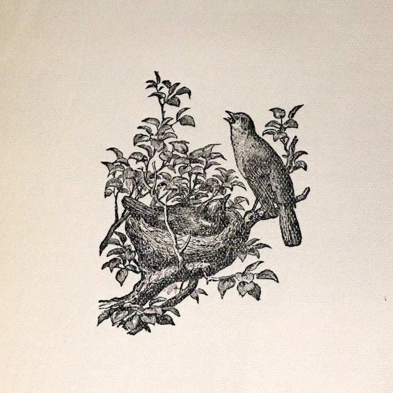 1890 Unique Known Copy - Mary Anne Wilmot Hastings (née Westenra), Countess of Huntingdon Tales - A Few Short Stories.