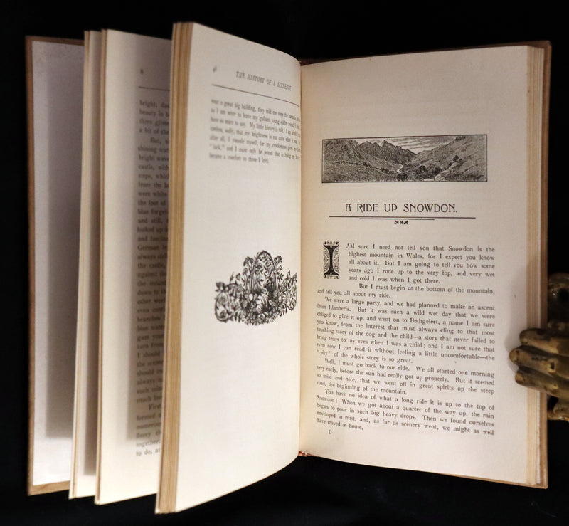 1890 Unique Known Copy - Mary Anne Wilmot Hastings (née Westenra), Countess of Huntingdon Tales - A Few Short Stories.