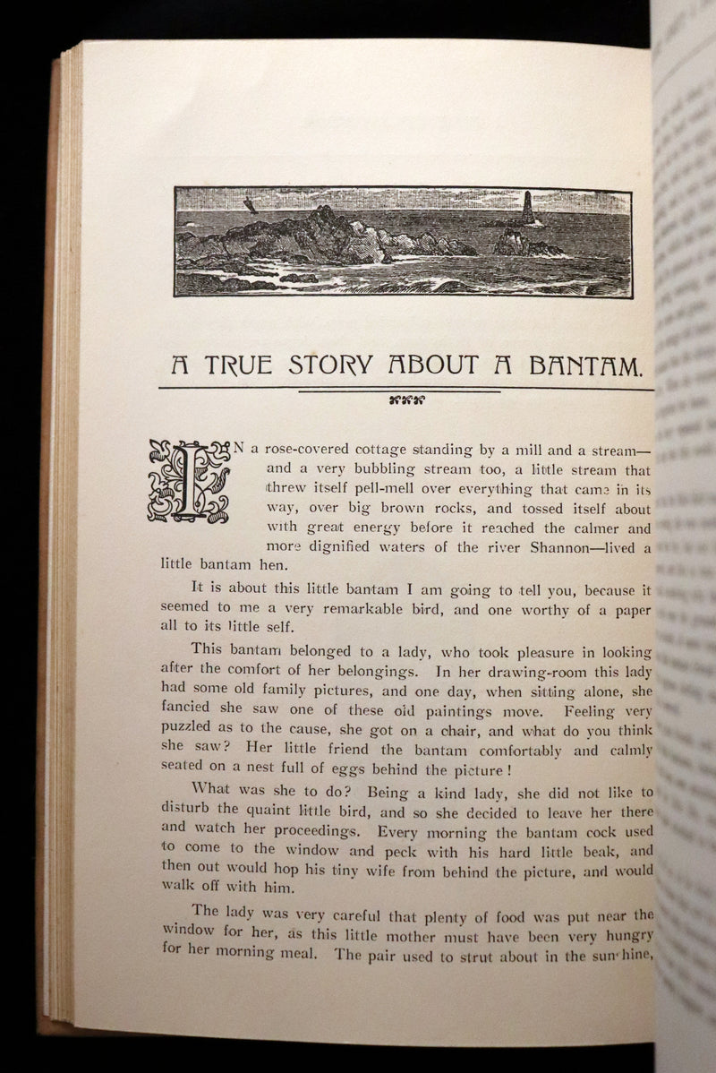 1890 Unique Known Copy - Mary Anne Wilmot Hastings (née Westenra), Countess of Huntingdon Tales - A Few Short Stories.