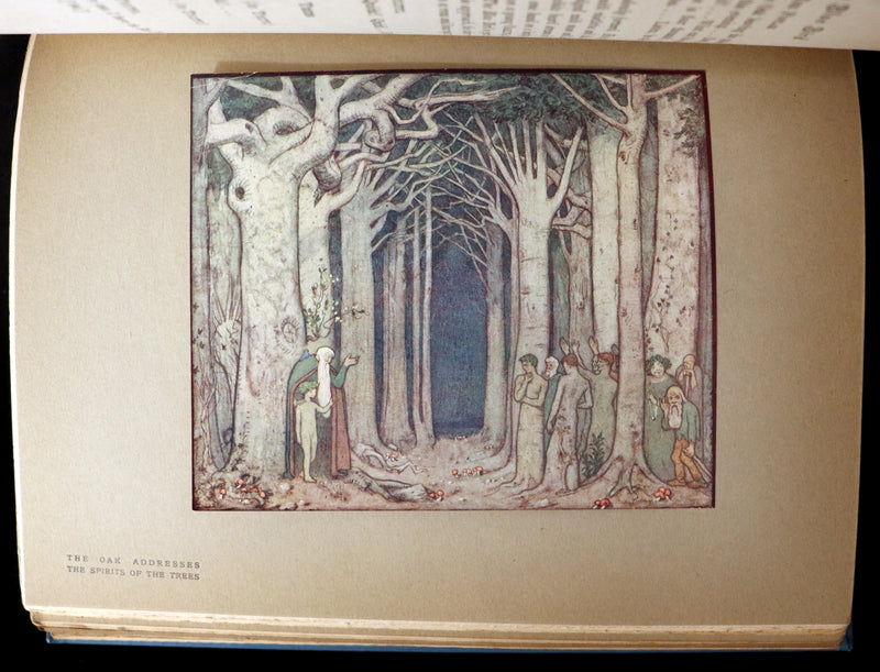 1911 First US Edition - The Blue Bird, A FAIRY Play illustrated by Frederick Cayley Robinson.