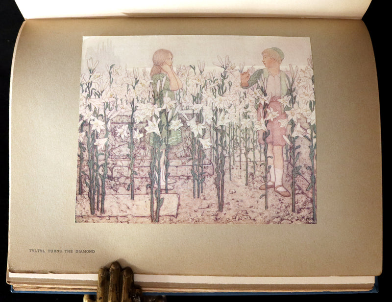 1911 First US Edition - The Blue Bird, A FAIRY Play illustrated by Frederick Cayley Robinson.