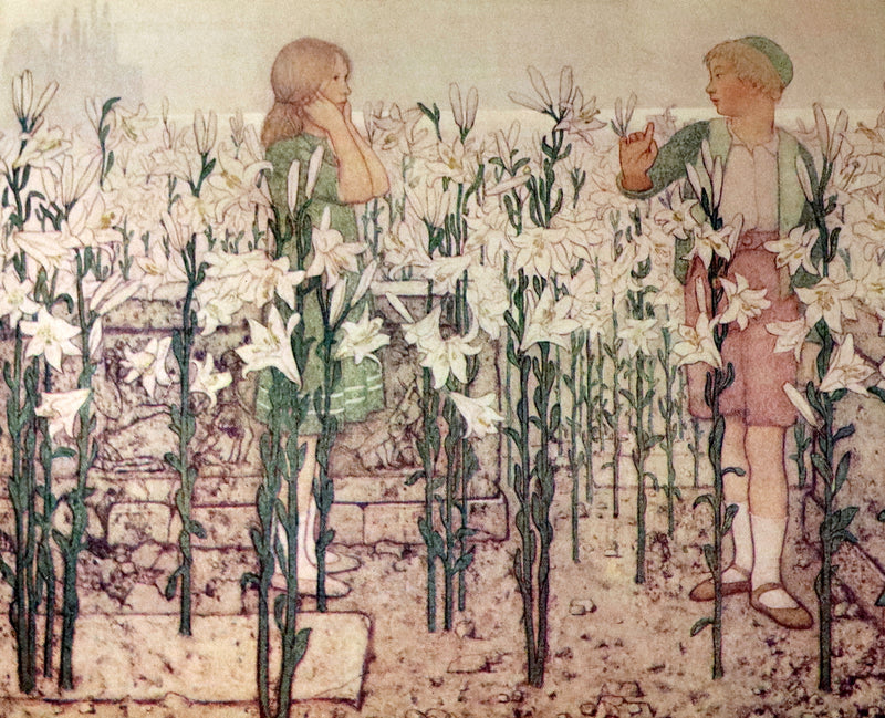 1911 First US Edition - The Blue Bird, A FAIRY Play illustrated by Frederick Cayley Robinson.