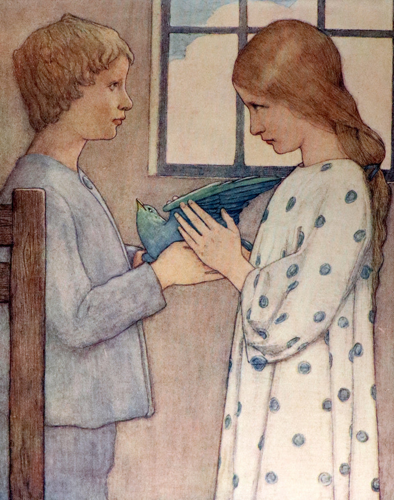 1911 First US Edition - The Blue Bird, A FAIRY Play illustrated by Frederick Cayley Robinson.