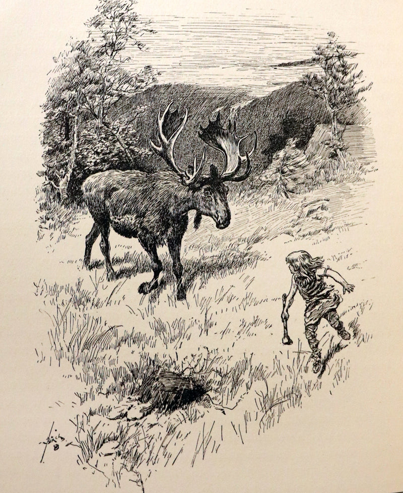 1894 Rare First Edition - IMAGINOTIONS Truthless Tales, Fantasy Stories by Tudor Jenks.