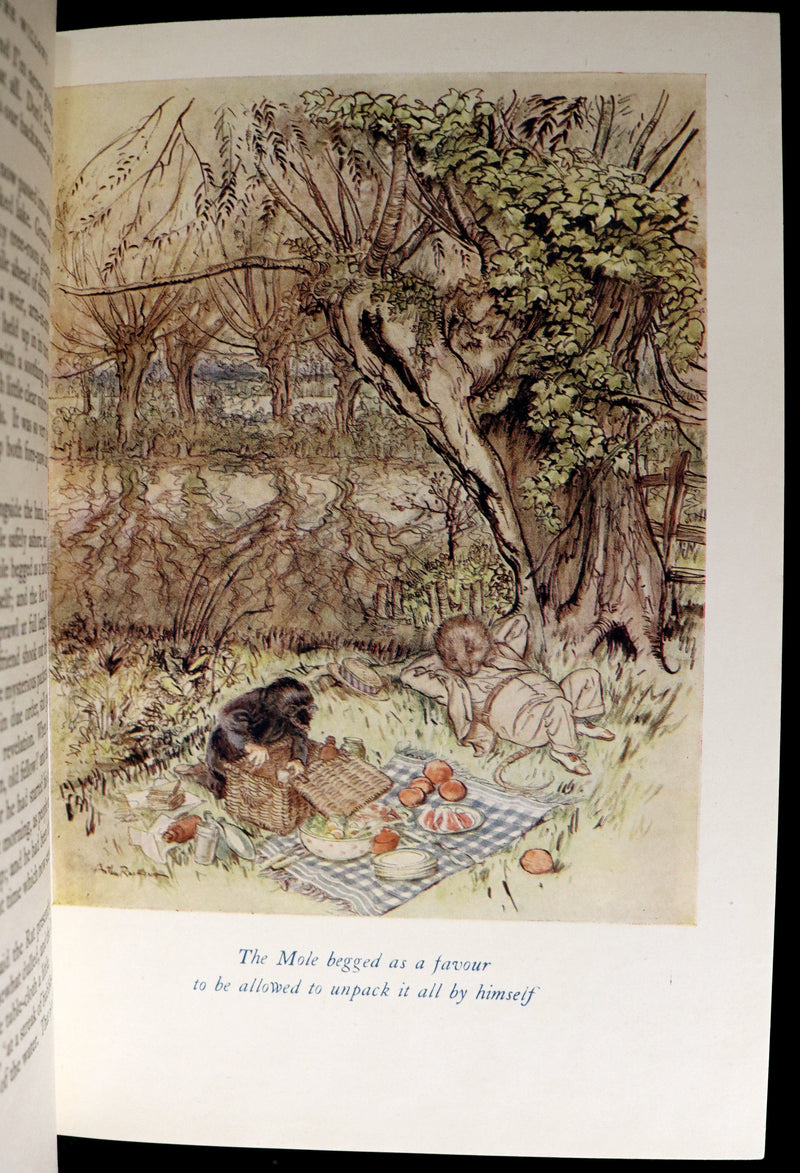 1950 Rare First RACKHAM Edition - The WIND IN THE WILLOWS by Kenneth Grahame.