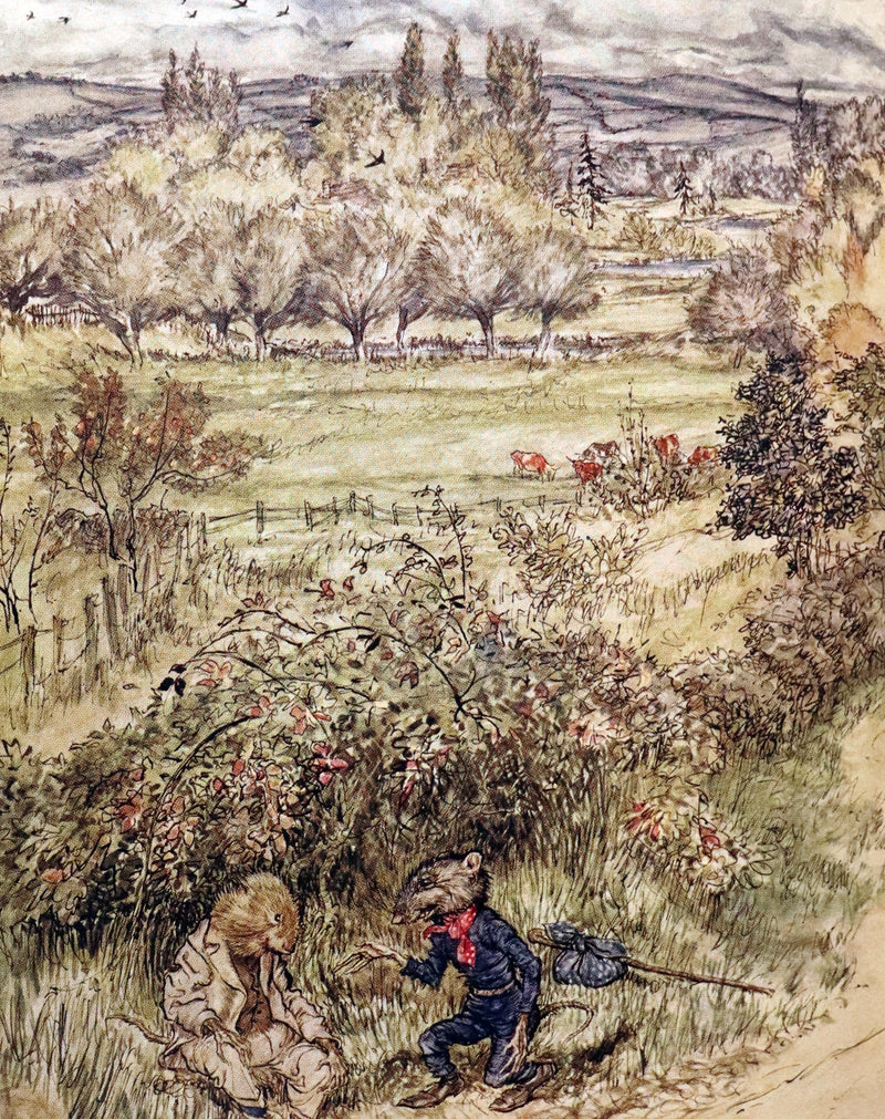 1950 Rare First RACKHAM Edition - The WIND IN THE WILLOWS by Kenneth Grahame.