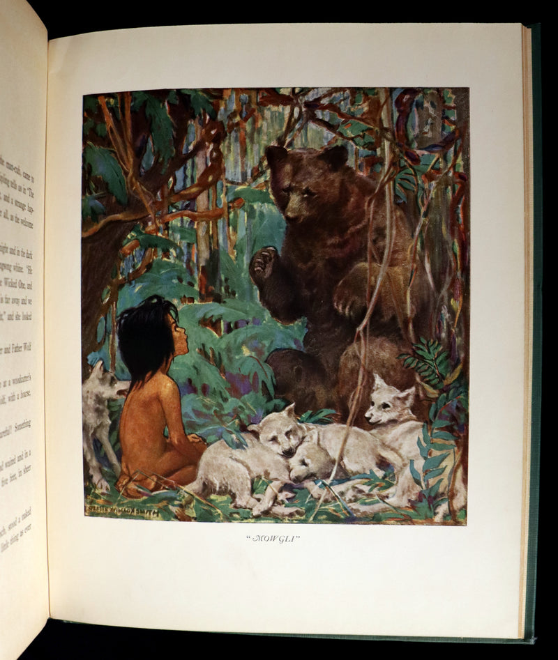 1923 Rare Book - Boys and Girls of BOOKLAND illustrated by Jessie Willcox Smith. 1st Edition.