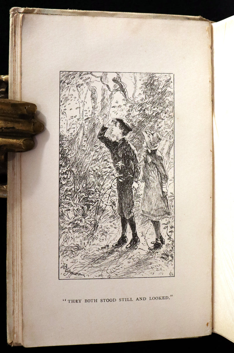 1892 Rare First Edition - AN ENCHANTED GARDEN, Fairy Stories by Mary Louisa Molesworth illustrated by William John Hennessy.
