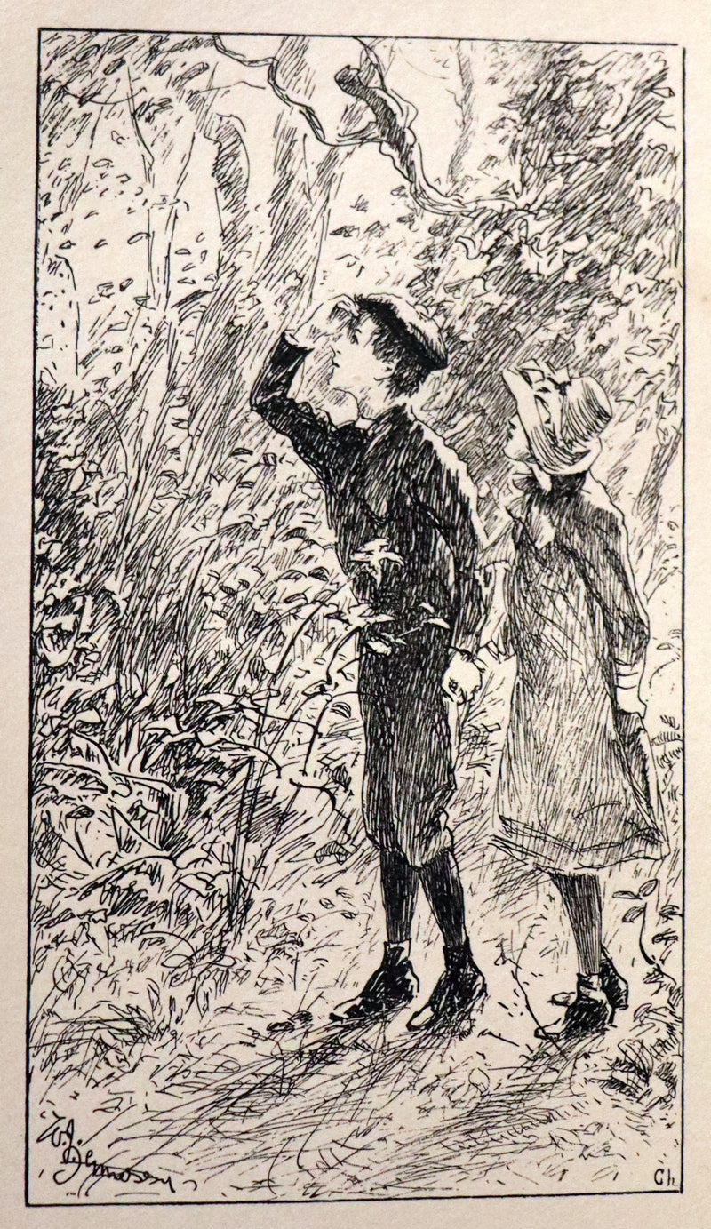 1892 Rare First Edition - AN ENCHANTED GARDEN, Fairy Stories by Mary Louisa Molesworth illustrated by William John Hennessy.