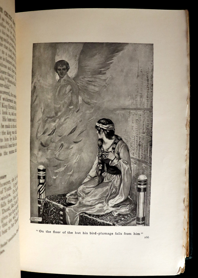 1910 Rare Book - Myths & Legends of the CELTIC Race by Thomas William Hazen Rolleston. Illustrated.