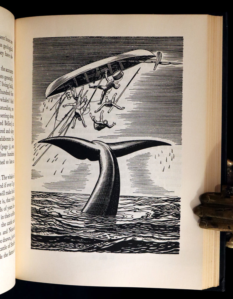 1930 Rare First Edition - MOBY DICK or The Whale by Melville, illustrated by Rockwell Kent.