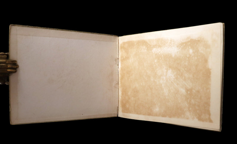 1900 Scarce First Edition - THE RABBIT BOOK written and illustrated Charles R. Pettafor.