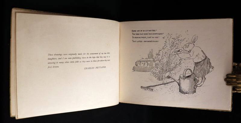 1900 Scarce First Edition - THE RABBIT BOOK written and illustrated Charles R. Pettafor.
