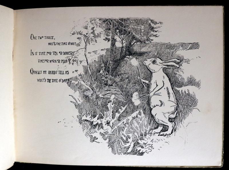 1900 Scarce First Edition - THE RABBIT BOOK written and illustrated Charles R. Pettafor.