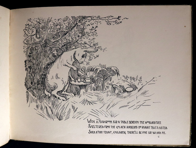 1900 Scarce First Edition - THE RABBIT BOOK written and illustrated Charles R. Pettafor.