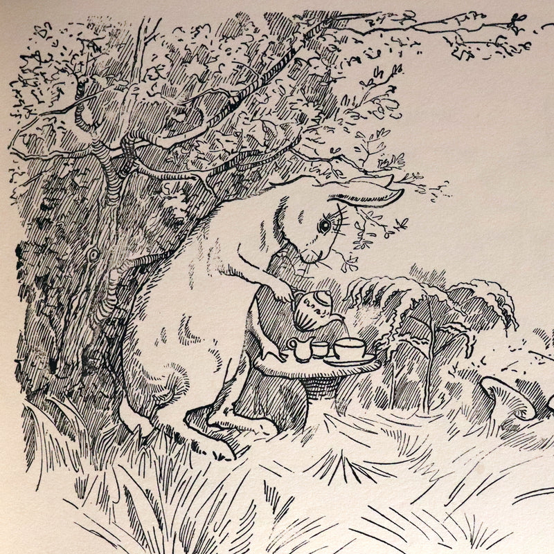 1900 Scarce First Edition - THE RABBIT BOOK written and illustrated Charles R. Pettafor.