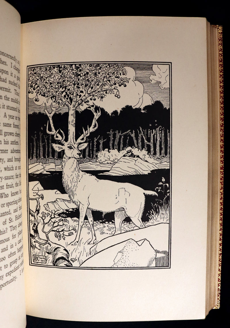 1915 Rare Book bound by Riviere - The Surprising Adventures of Baron MUNCHAUSEN Illustrated by Strang & Clark.