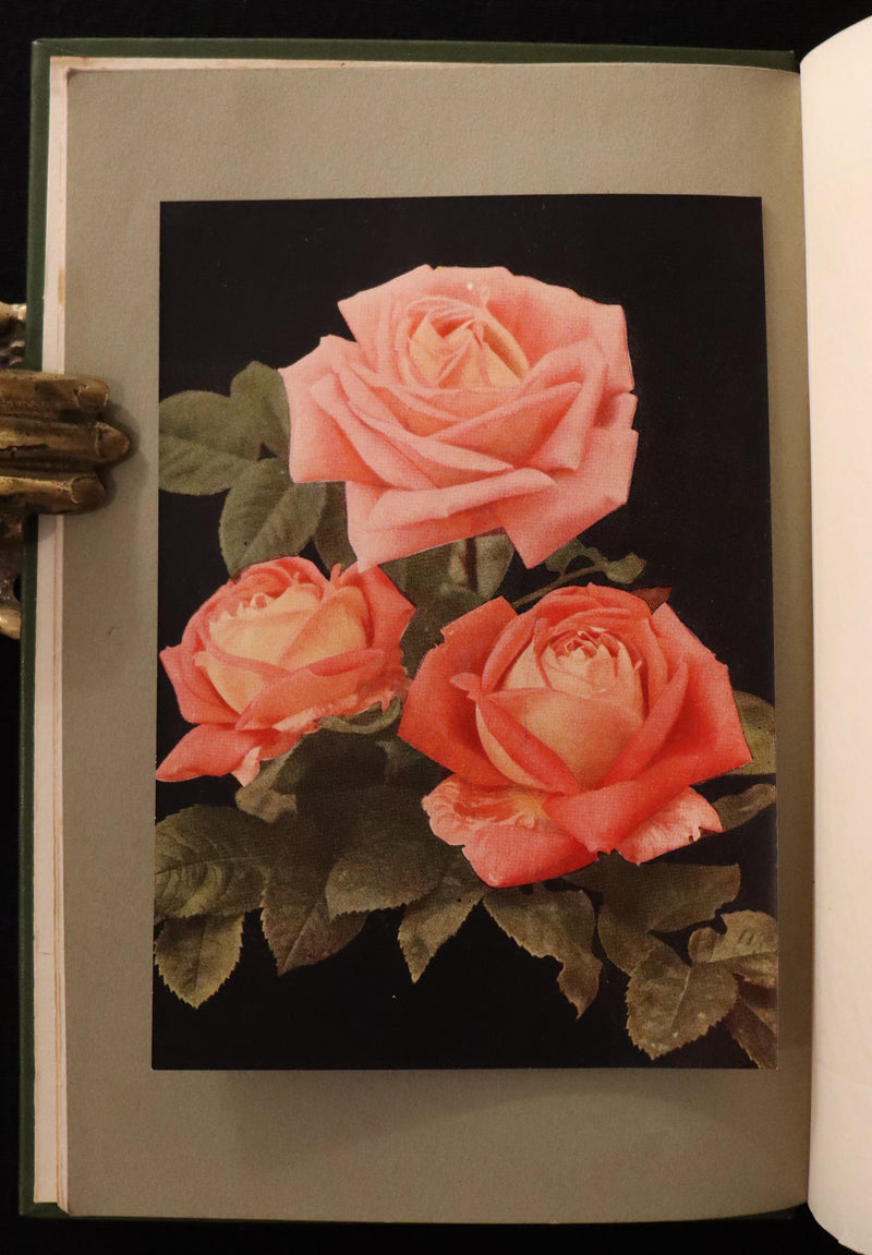 1913 Scarce First Edition - THE ROSE BOOK, A Complete Guide for Amateur Rose Growers by H.H. Thomas.