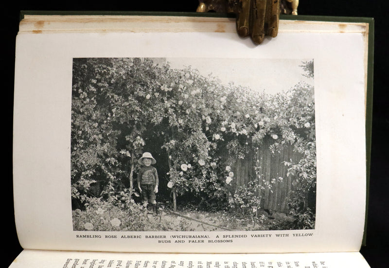 1913 Scarce First Edition - THE ROSE BOOK, A Complete Guide for Amateur Rose Growers by H.H. Thomas.