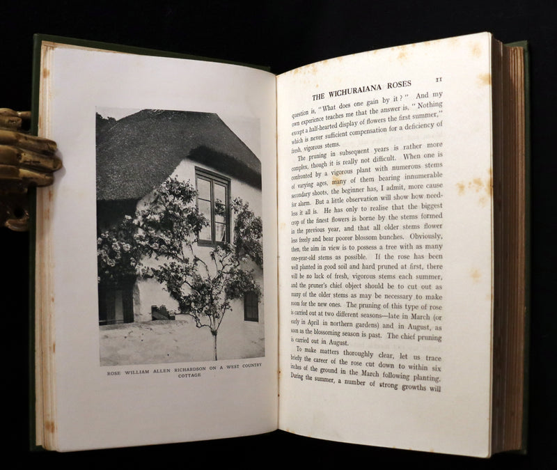 1913 Scarce First Edition - THE ROSE BOOK, A Complete Guide for Amateur Rose Growers by H.H. Thomas.