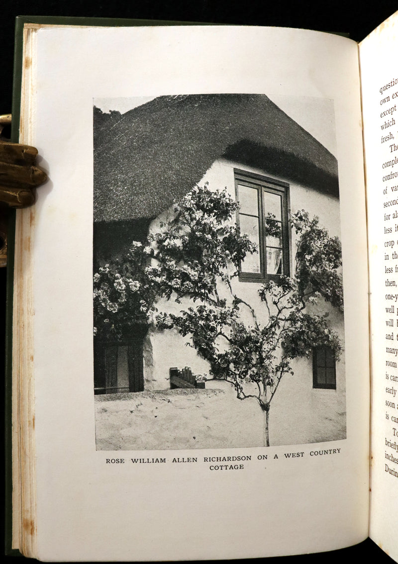 1913 Scarce First Edition - THE ROSE BOOK, A Complete Guide for Amateur Rose Growers by H.H. Thomas.