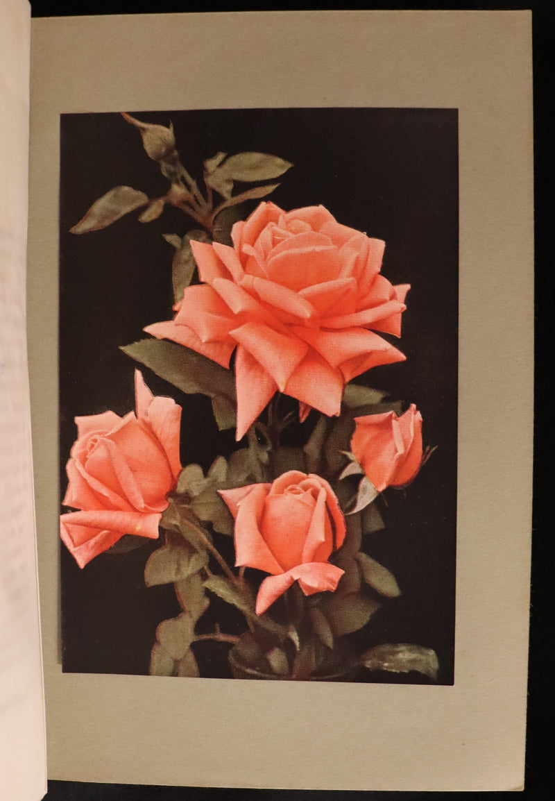 1913 Scarce First Edition - THE ROSE BOOK, A Complete Guide for Amateur Rose Growers by H.H. Thomas.