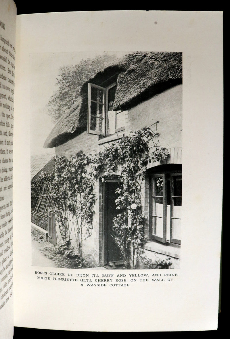 1913 Scarce First Edition - THE ROSE BOOK, A Complete Guide for Amateur Rose Growers by H.H. Thomas.