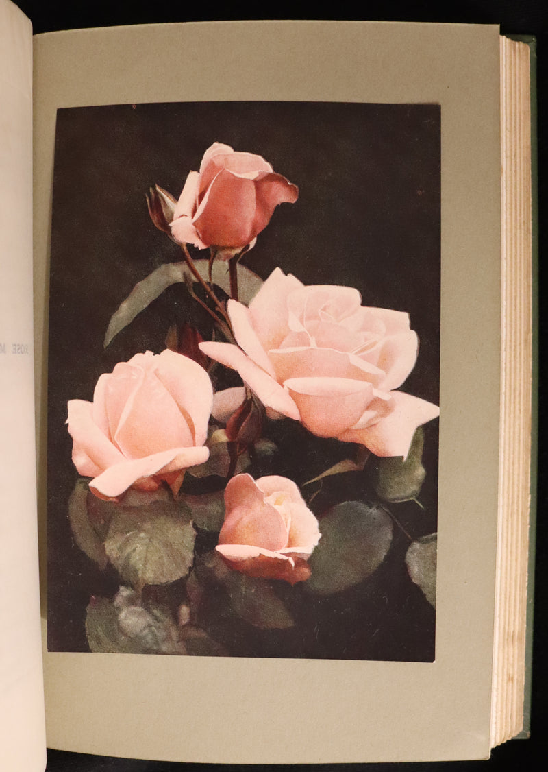 1913 Scarce First Edition - THE ROSE BOOK, A Complete Guide for Amateur Rose Growers by H.H. Thomas.