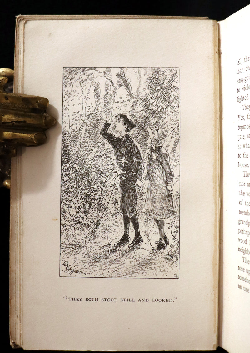 1892 Rare First Edition - AN ENCHANTED GARDEN, Fairy Stories by Mary Louisa Molesworth illustrated by William John Hennessy.