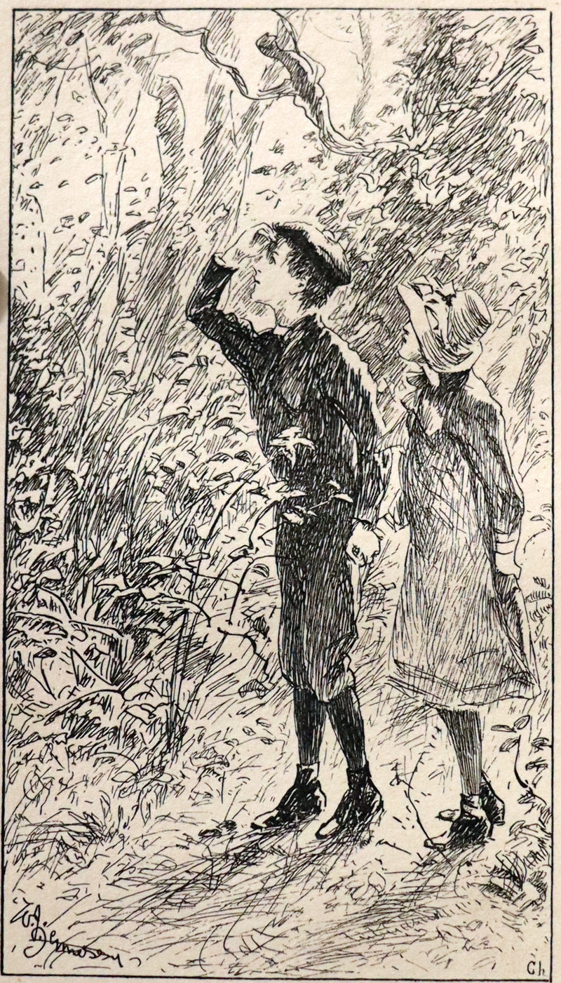 1892 Rare First Edition - AN ENCHANTED GARDEN, Fairy Stories by Mary Louisa Molesworth illustrated by William John Hennessy.