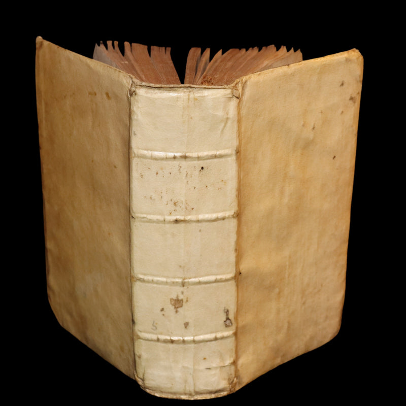 1704 Scarce Latin vellum Edition - OVID's Metamorphoses - Publii Ovidii Nasonis Metamorphoseon libri XV.