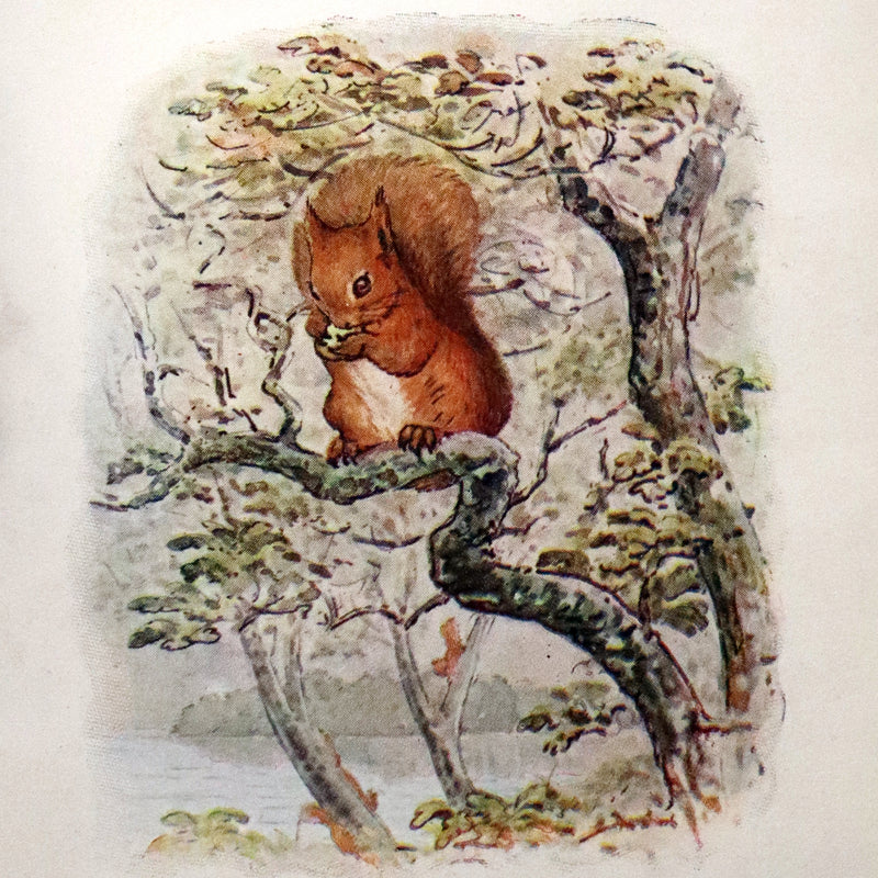 1903 Rare Book - Beatrix Potter - The Tale of Squirrel Nutkin - First Edition, third printing.
